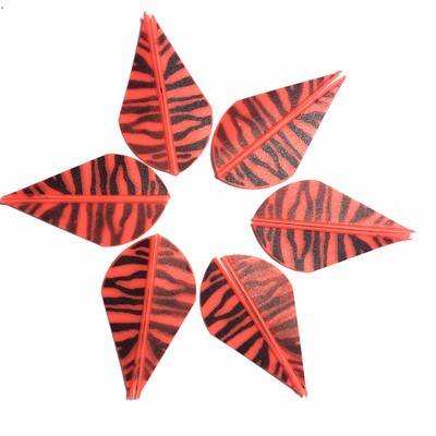 Tiger Orange Red